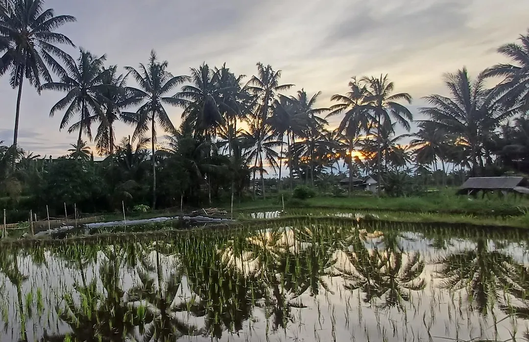 Villa'S Ilham-1