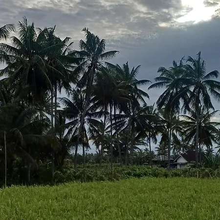 Villa'S Ilham-2